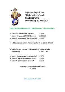 Programm Tagesausflug nach Regensburg